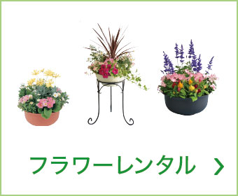 ϗtAt[^